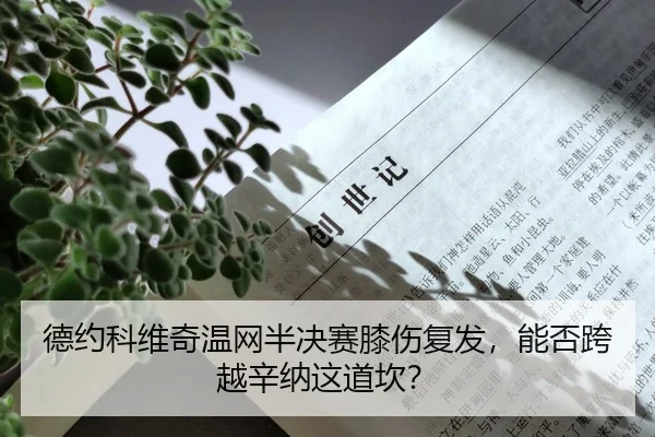 de-yue-ke-wei-qi-wen-wang-ban-jue-sai-xi-shang-fu-fa-neng-fou-kua-yue-xin-na-zhe-dao-kan-2-427.jpg