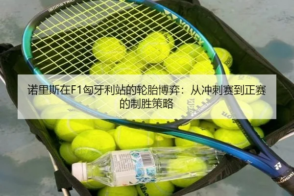 诺里斯在F1匈牙利站的轮胎博弈：从冲刺赛到正赛的制胜策略