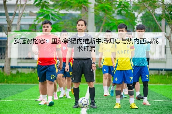 ou-guan-zi-ge-sai-li-er-xin-yuan-nei-wei-si-zhong-chang-diao-du-yu-re-nei-xi-ao-zhan-shu-da-mo-3-241.jpg