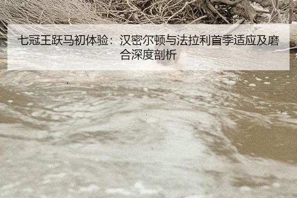 七冠王跃马初体验：汉密尔顿与法拉利首季适应及磨合深度剖析