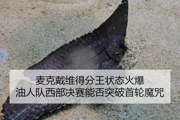 mai-ke-dai-wei-de-fen-wang-zhuang-tai-huo-bao-you-ren-dui-xi-bu-jue-sai-neng-fou-tu-po-shou-lun-mo-zhou-3-488.jpg