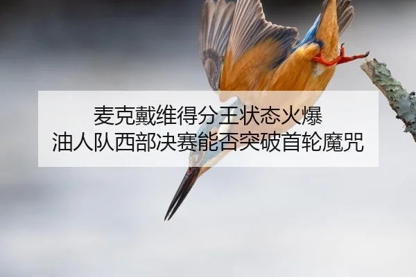 麦克戴维得分王状态火爆 油人队西部决赛能否突破首轮魔咒